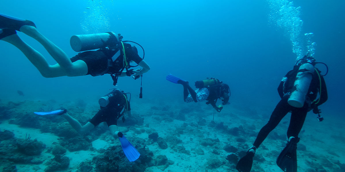 Scuba Diving: Zanzibar