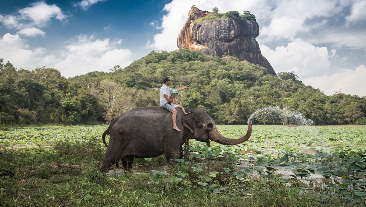 Don't ride an elephant in Sri Lanka: World Holiday Vibes Blog