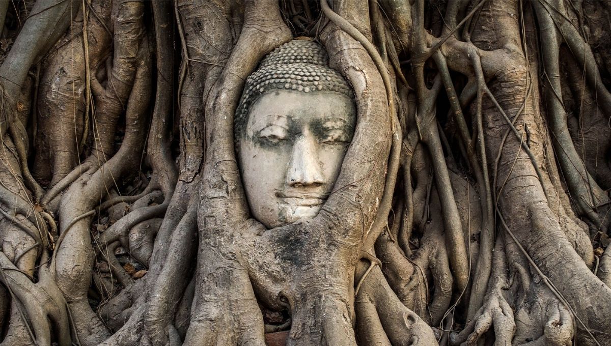 At Ayutthaya, you can see the famous Buddha head in a tree: World Holiday Vibes Blog