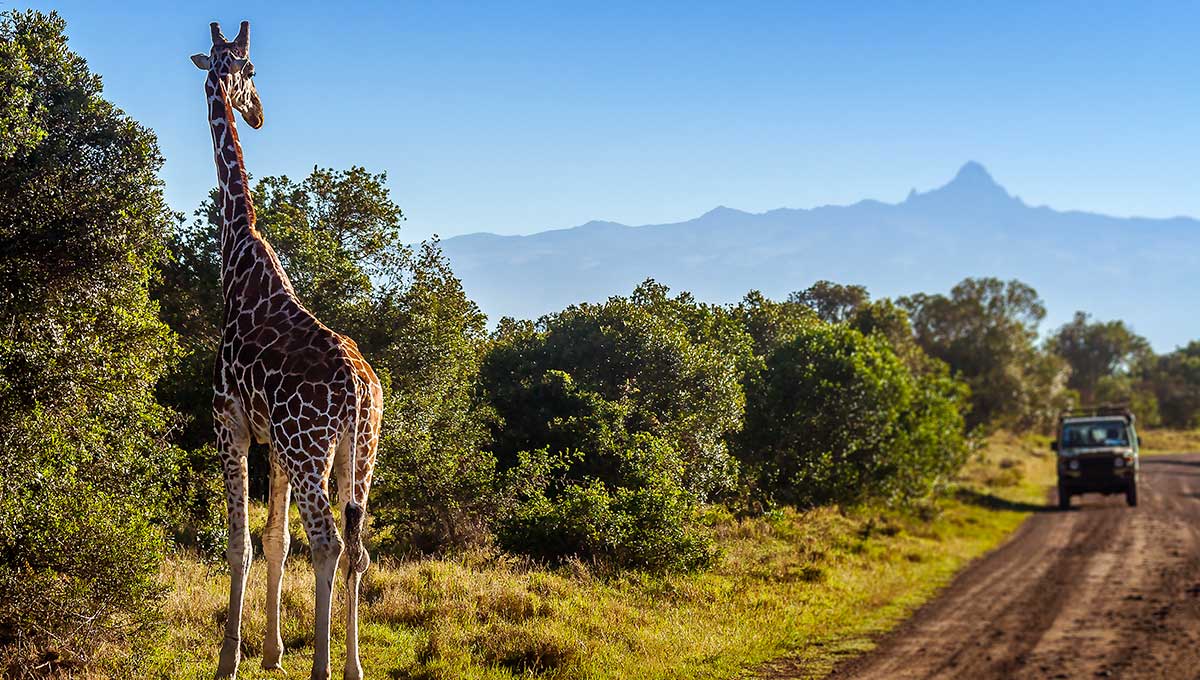 Uncover Untamed Africa on a Holiday to Uganda: World Holiday Vibes Blog