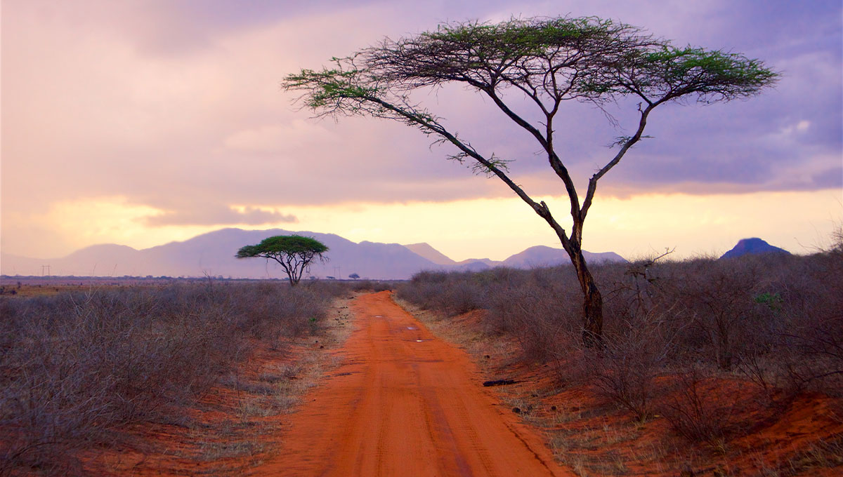 Travel to Kenya: World Holiday Vibes Blog