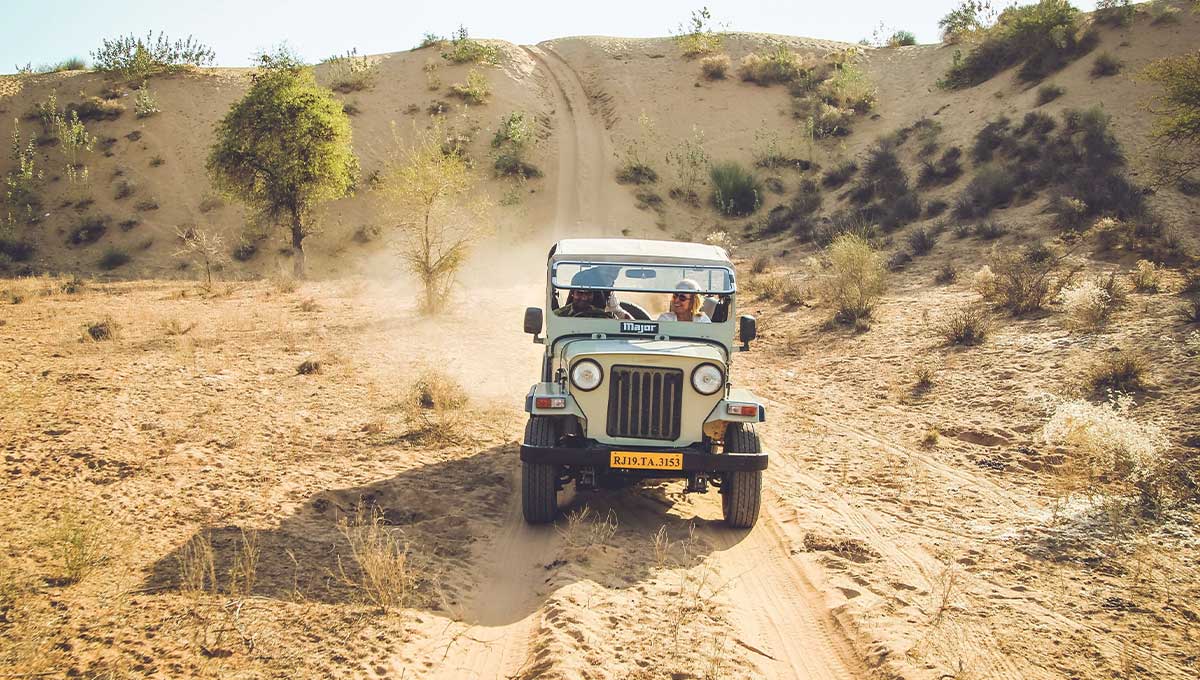Bishnoi Jeep Safari: World Holiday Vibes Blog