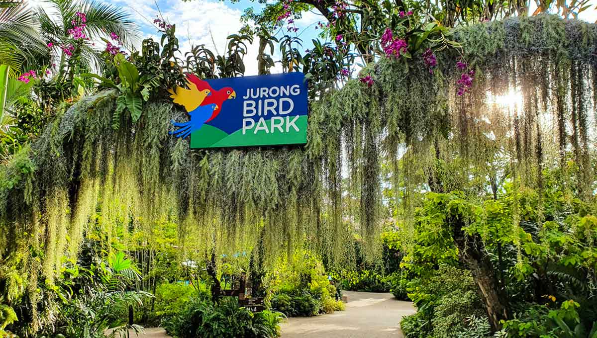 Singapore Zoo and Jurong Bird Park: World Holiday Vibes Blog