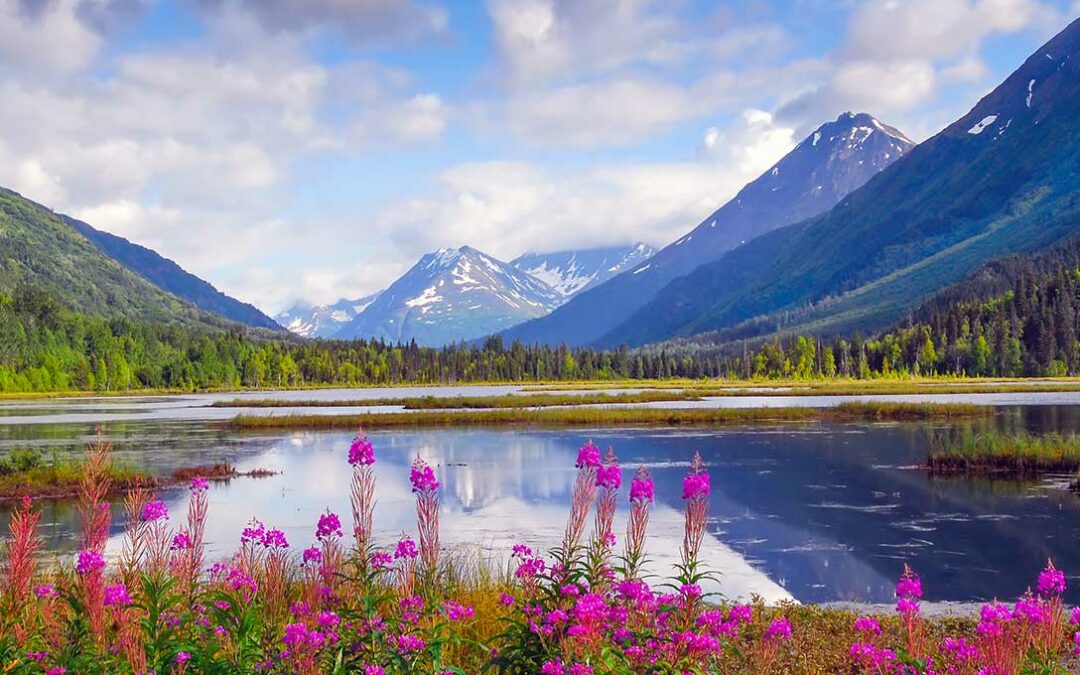 Holiday to Alaska: World Holiday Vibes Blog