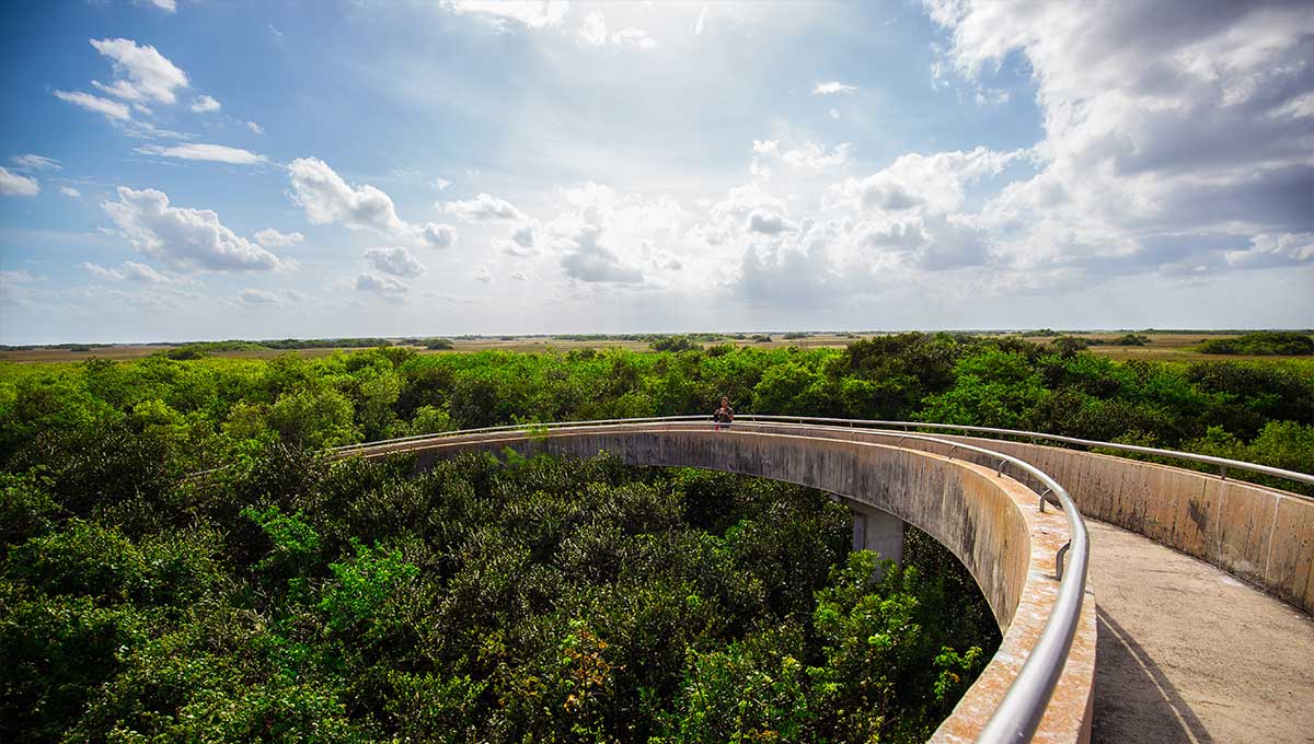 National Park of the Everglades - Holiday Vibes Blog, Good Vibes Only