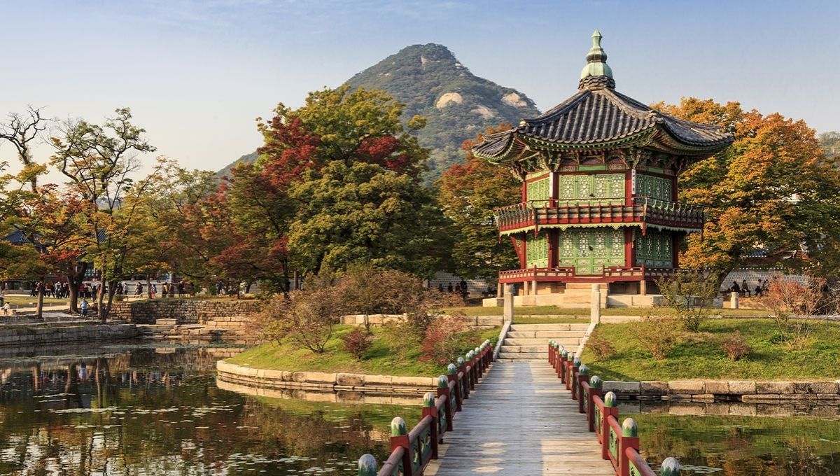 Gyeongbokung Palace Korea: World Holiday Vibes Blog