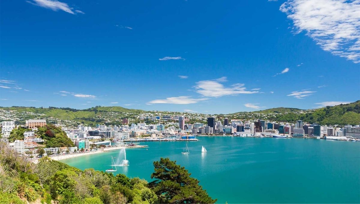Wellington - Holiday Vibes Blog, Good Vibes Only