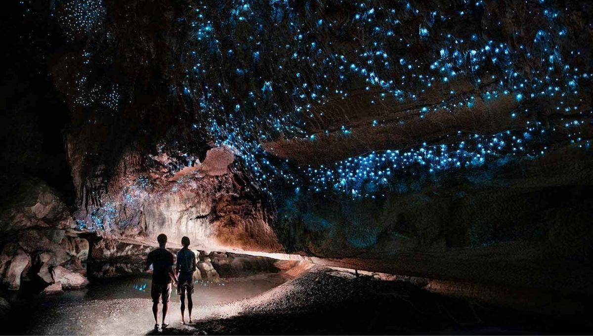 Waitomo Caves: World Holiday Vibes Blog