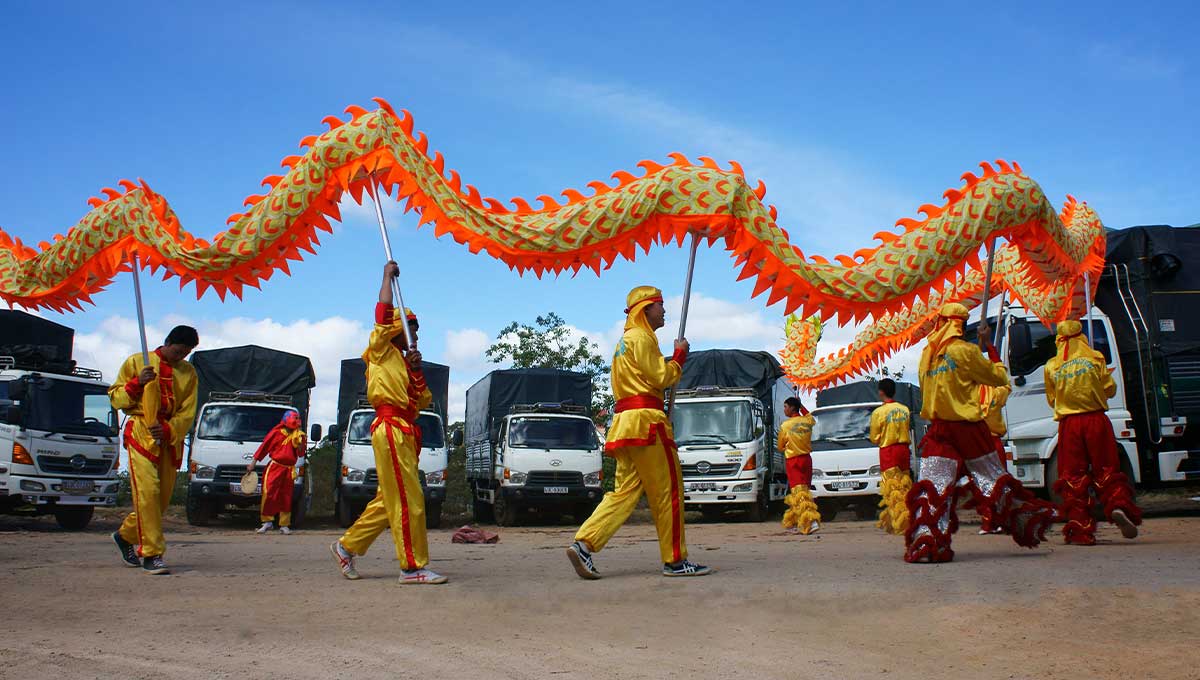 Vietnamdragon dancing