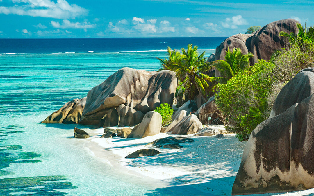 Keep your chin up to Seychelles’ exotic paradise without putting in a lot of effort