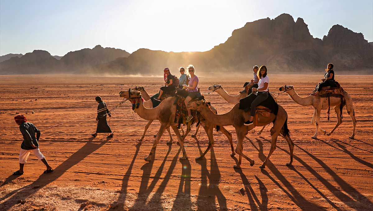 Camel rides in Rajasthan