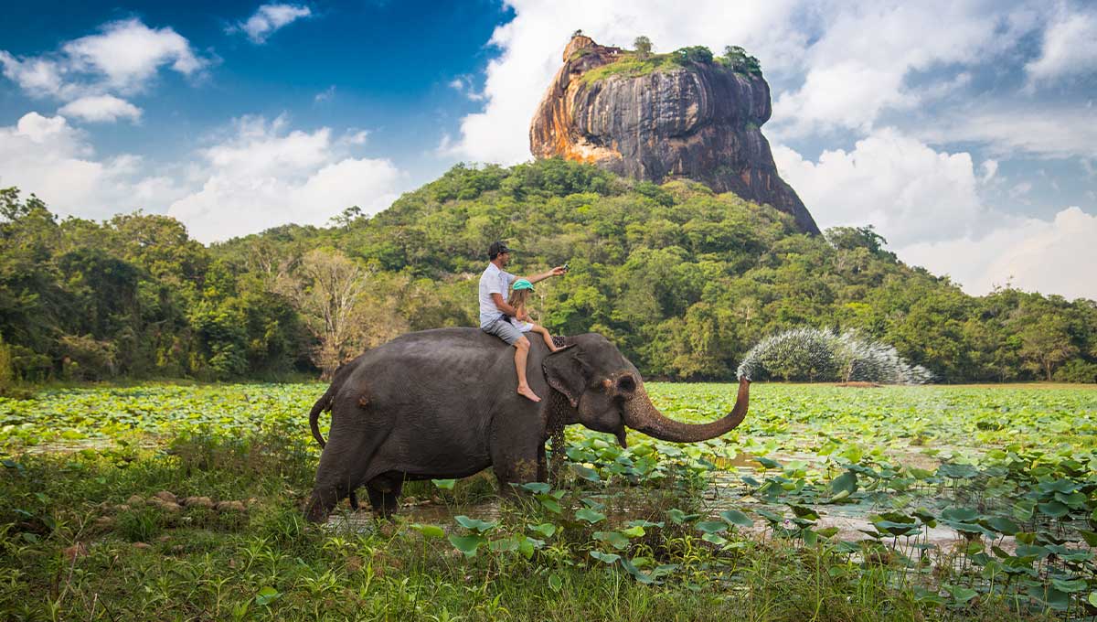 Elephant ride in Sri Lanka