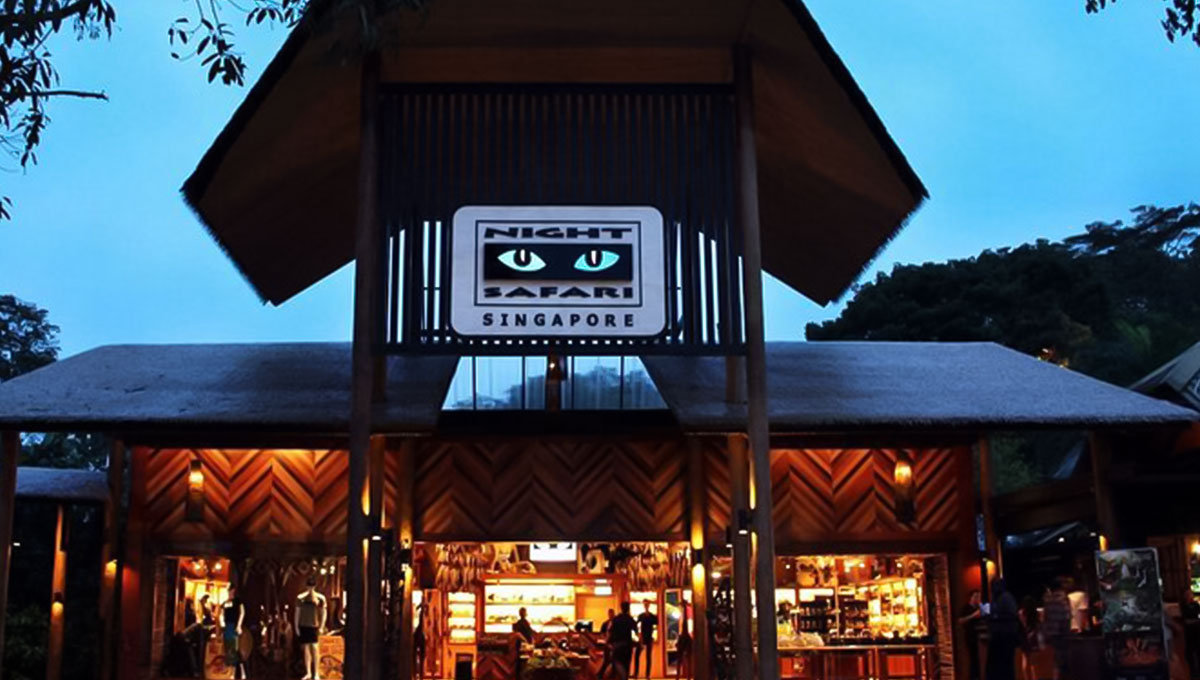 Night Safari - Best things to do in Singapore - Holiday Vibes Blog, Good Vibes Only