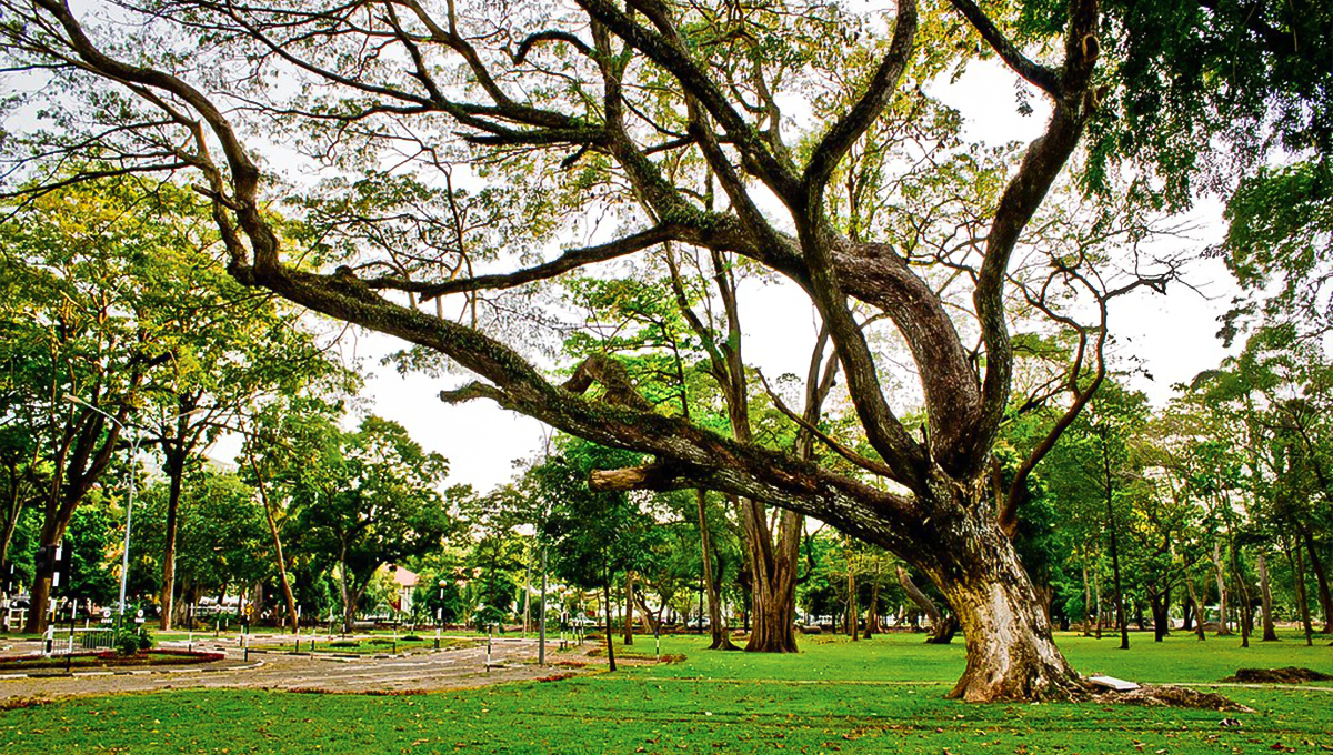 Viharamahadevi Park in Sri Lanka - Holiday Vibes Blog, Good Vibes Only