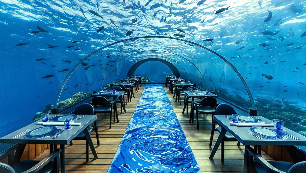 Ithaa undersea restaurant Maldives - World Holiday Vibes Blog, Good Vibes Only