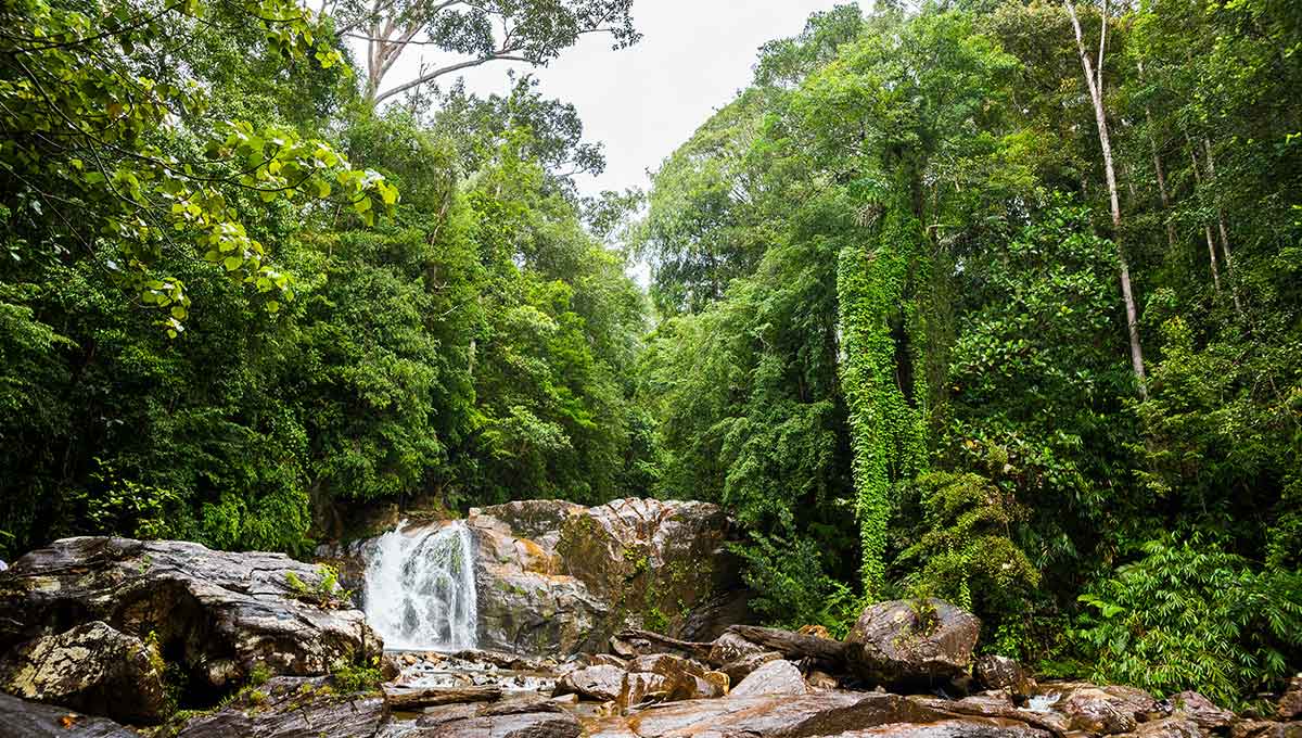 Sinharaja Forest Reserve, Sri Lanka - World Holiday Vibes Blog, Good Vibes Only