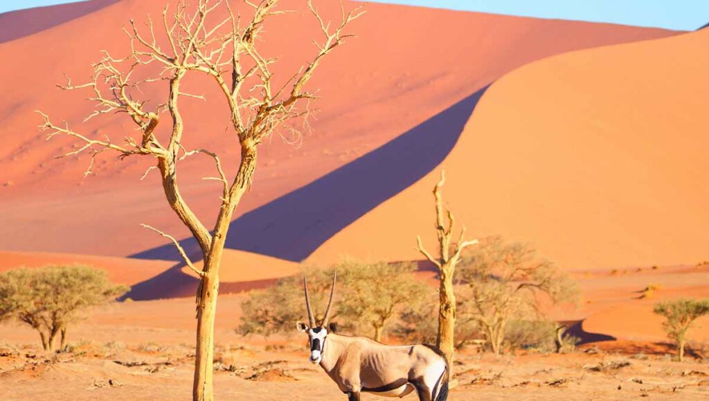 Holidays to Namibia - Holiday Vibes Blog, Good Vibes Only