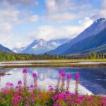 Holiday to Alaska - Holiday Vibes Blog, Good Vibes Only