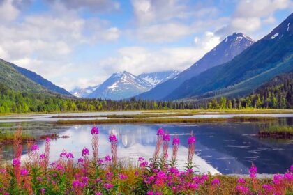 Holiday to Alaska - Holiday Vibes Blog, Good Vibes Only