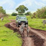 Tanzania Journey to the Heart of the Safari - Holiday Vibes Blog, Good Vibes Only