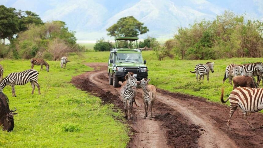 Tanzania Journey to the Heart of the Safari - Holiday Vibes Blog, Good Vibes Only