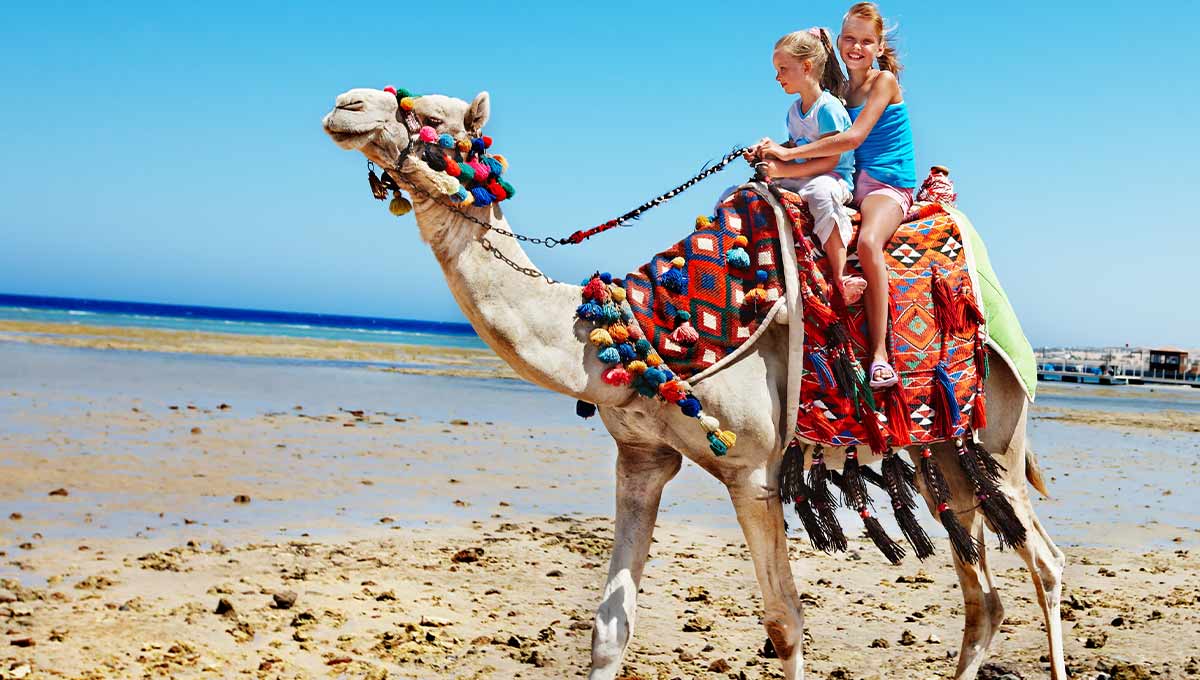 Is it safe to visit Egypt right now? Holiday Vibes Blog