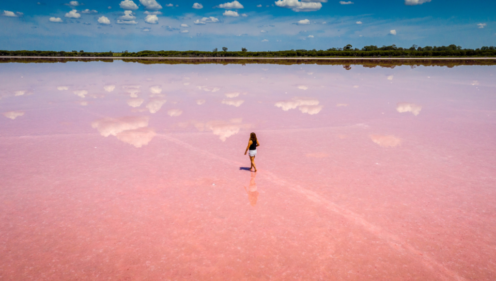 Pink lake, Top places to visit in Australia - World Holiday Vibes Blog