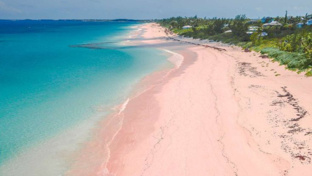 Pink sand beach in the Bahamas - World Holiday Vibes Blog, Good Vibes Only