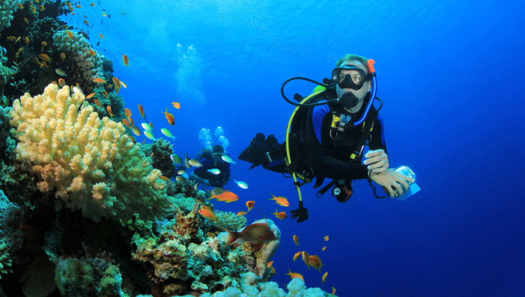 Scuba diving in the Bahamas - World Holiday Vibes Blog, Good Vibes Only