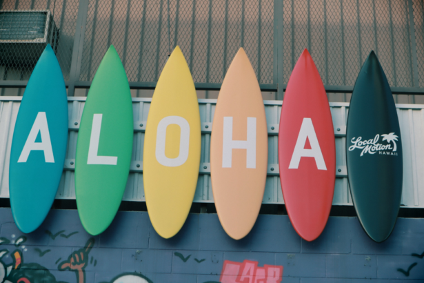 Tick Off Your Essentials to Carry to Your Hawaii Holiday - World Holiday Vibes