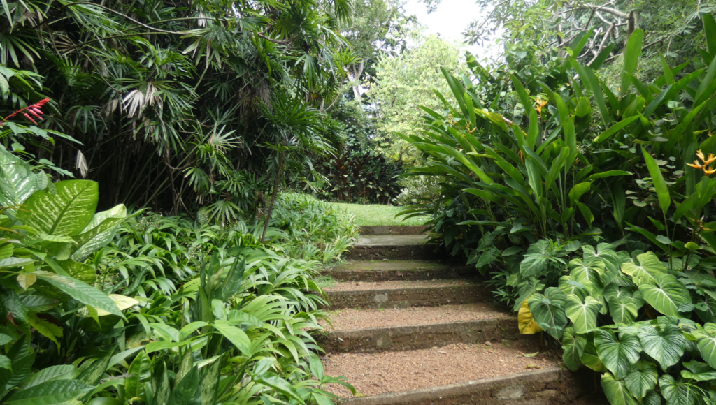 Brief Garden in Bentota, Sri Lankan hidden gems - Best spots to travel in Sri Lanka - world holiday vibes blog