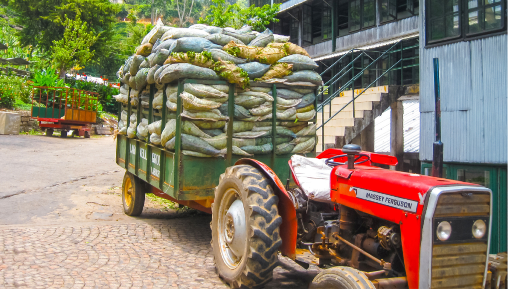 Mackwoods tea factory in Nuwara Eliya, Sri Lankan hidden gems - Best spots to travel in Sri Lanka - world holiday vibes blog